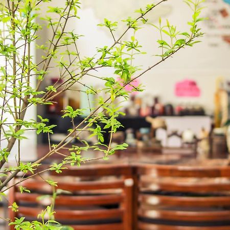 大荔 大理二十七杯酒●鸿落客栈酒店 外观 照片